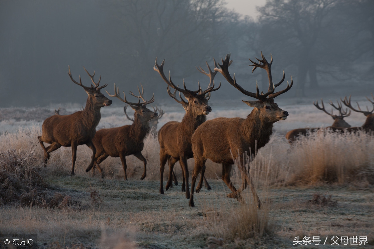 世界地球日，最适合孩子看的18部自然纪录片，趁周末，带娃看起来