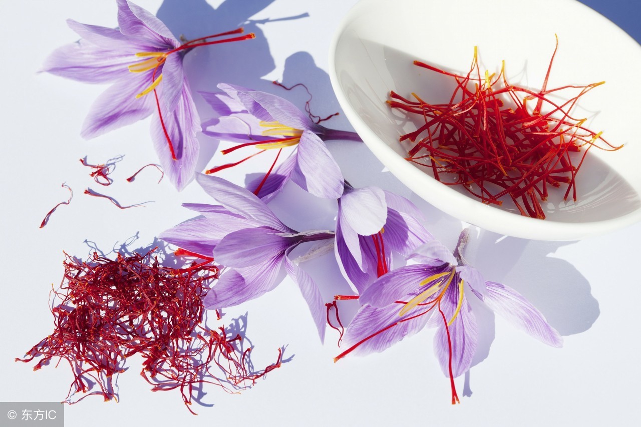 红花和藏红花怎么区分图片及价格,怎么辨别西班牙藏红花真伪