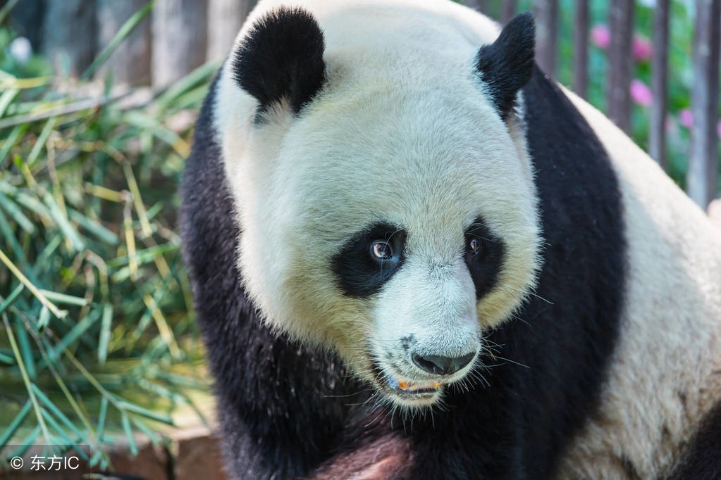 冷烫和热烫的区别解说,冷烫专业知识