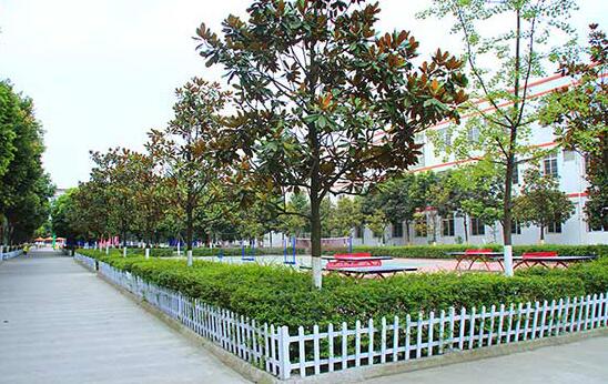 在成都学厨师靠谱吗,成都学厨师去哪里最好