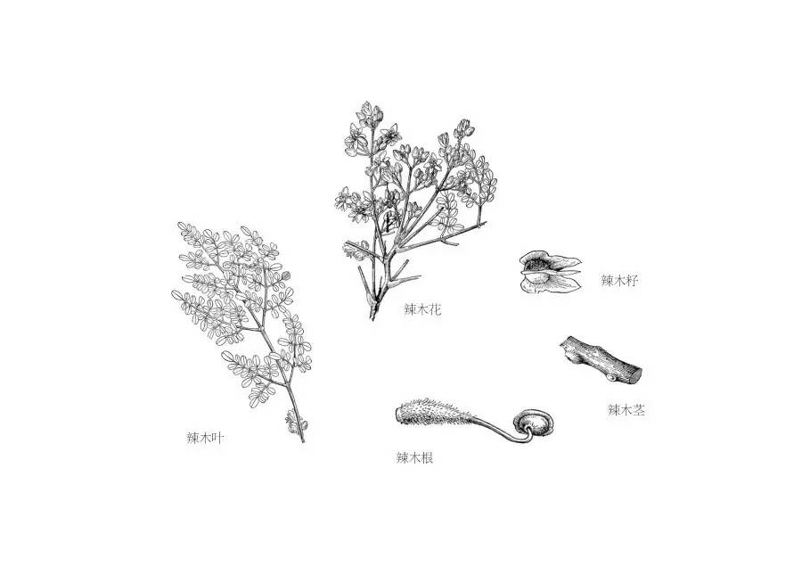 传统与现代结合的生活,让传统留在现代