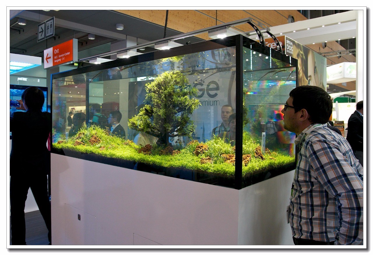 德国纽伦堡宠物展,2018德国纽伦堡宠物展