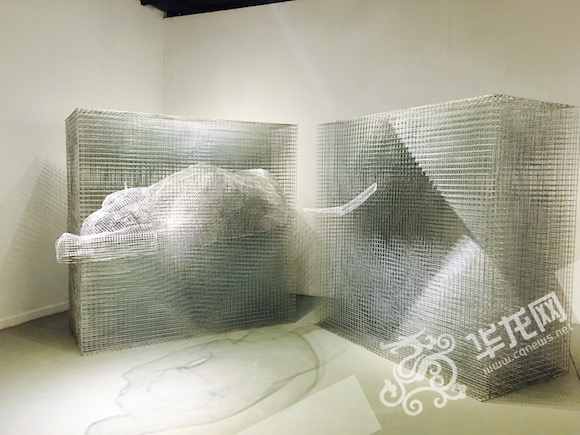 重庆一学院毕业服装秀惊艳亮相,重庆高校惊现梅花鹿