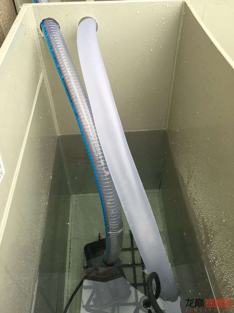 pp塑料锦鲤池,pp板材焊锦鲤池