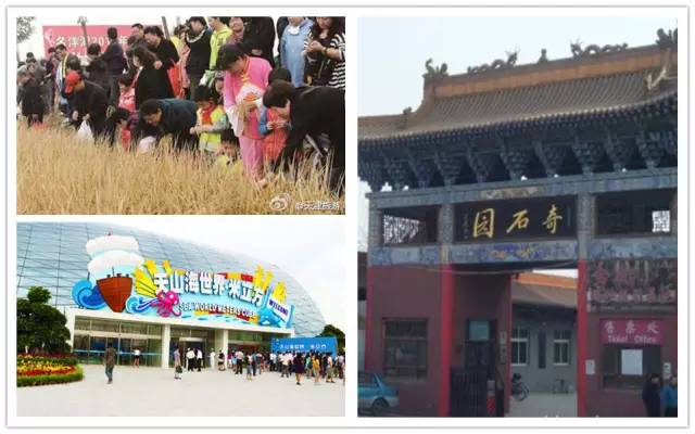 天津刻在骨子里的哏都,为什么天津被称为哏都