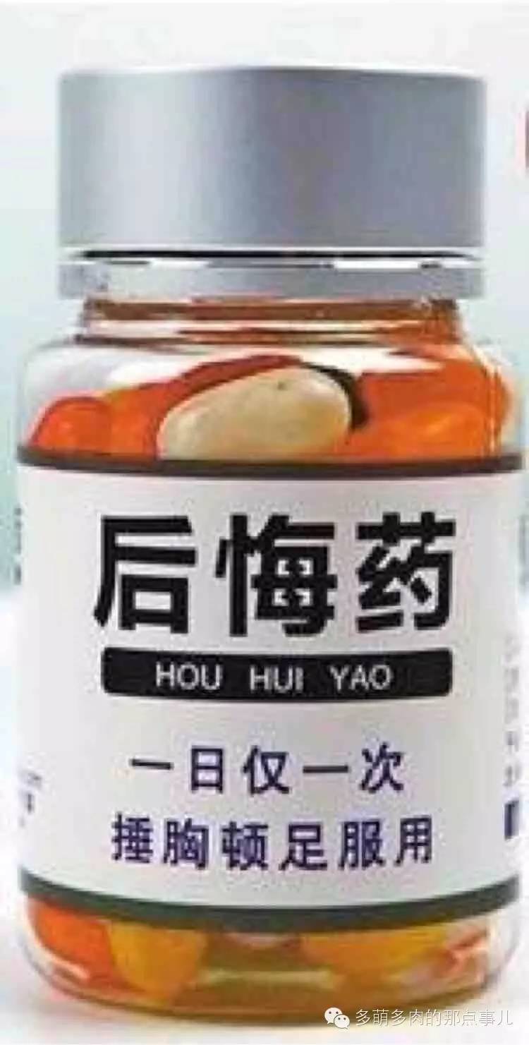 多肉植物能不能晒太阳,多肉怎么晒太阳能晒伤