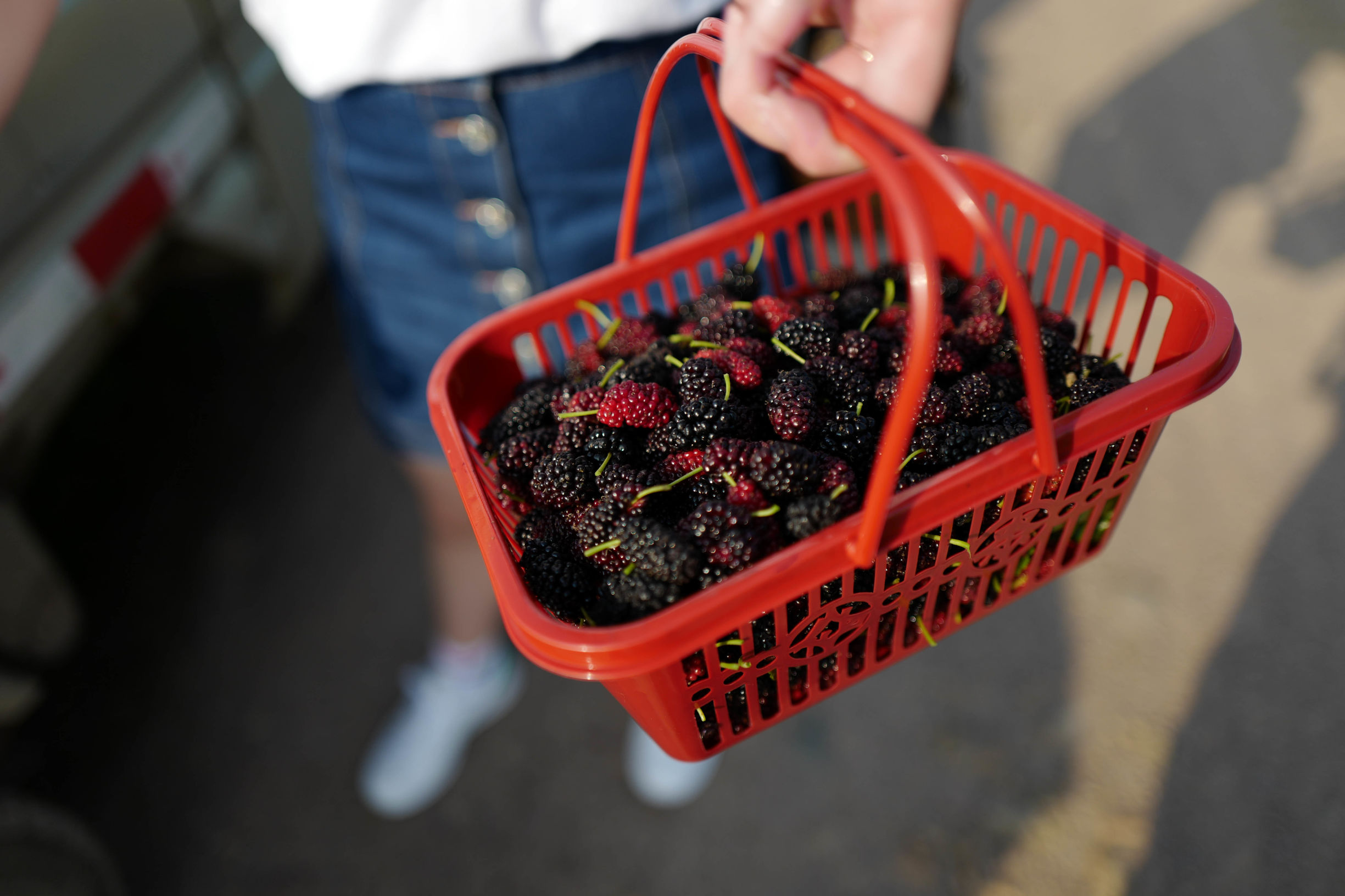 这才是德味-LeicaQ一个月使用报告