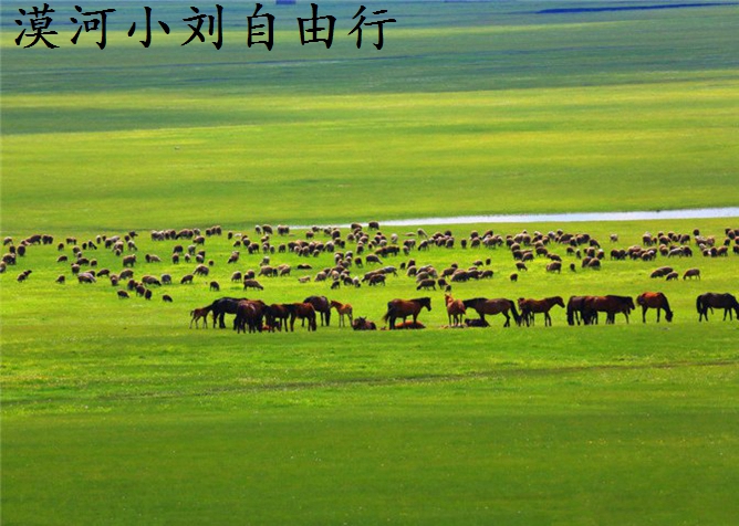 去呼伦贝尔旅游住宿预定攻略,呼伦贝尔旅游路线住宿