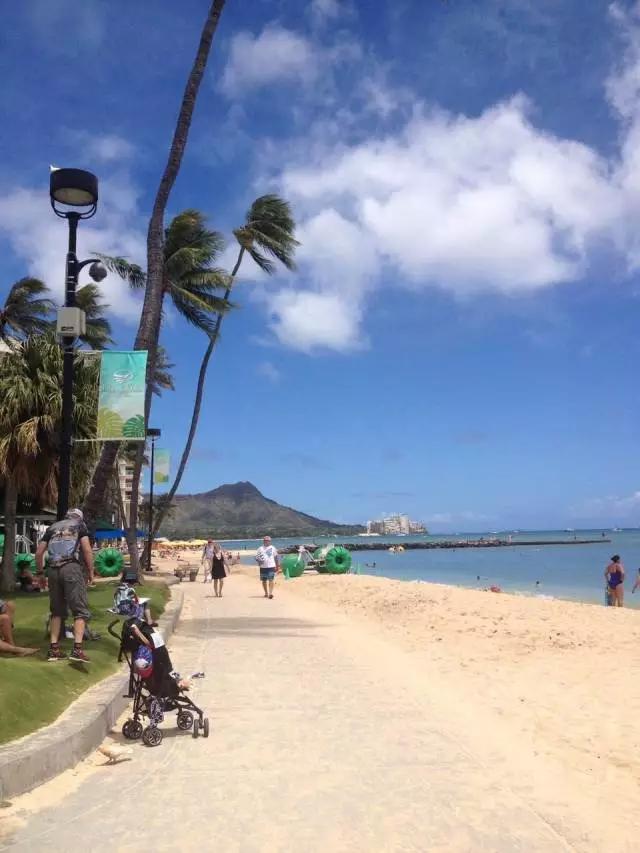 夏威夷和周冬雨,余文乐周冬雨夏威夷