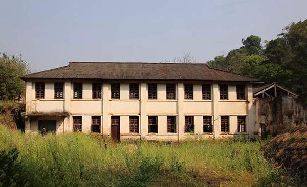 南糯山古树普洱茶2018,2018年中茶普洱茶爆款