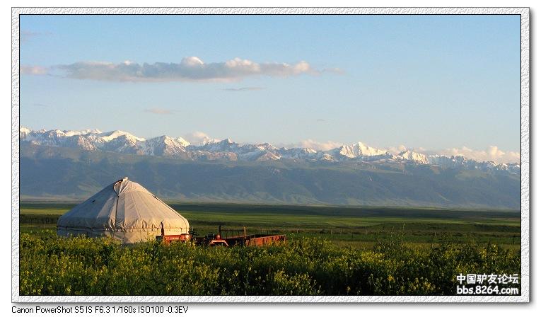 梦里花开——*疆新**，又一次的心动