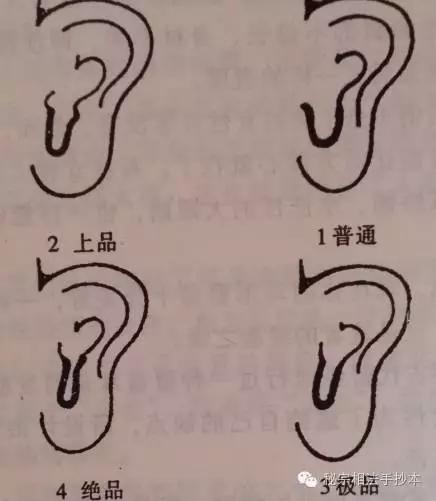 看耳朵识女人,看耳朵能看出肾的情况吗