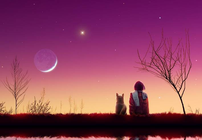 山有木兮木有枝什么意思,山有木兮心悦君兮君不知抖音版