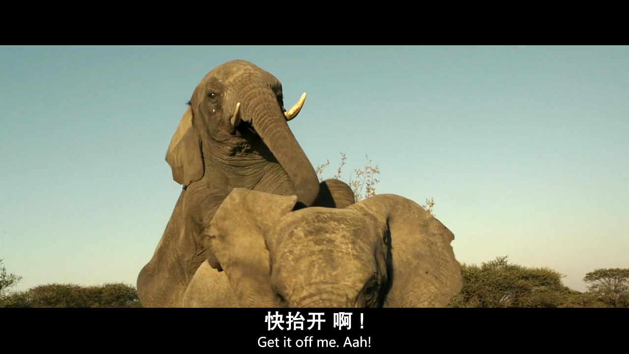 史上最无耻的汉奸,史上最可恶的汉奸视频