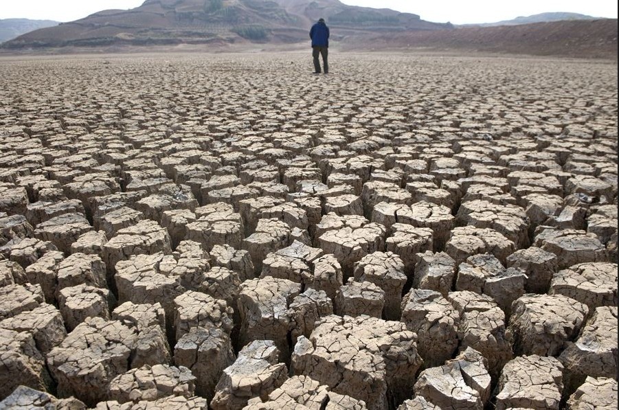 你们说这个手机配件花一千万上电视值不值？