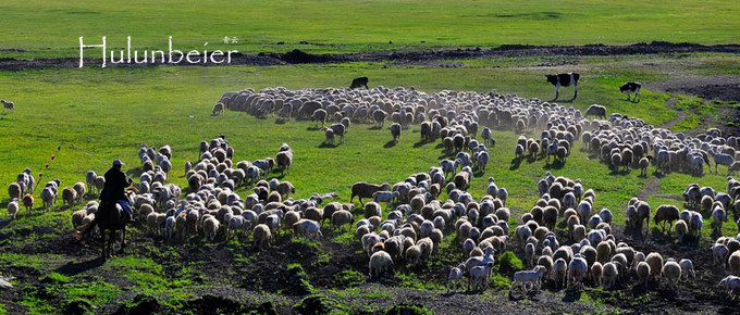 呼伦贝尔拍照攻略,呼伦贝尔美景拍照