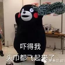 驾照最全攻略,驾照学习攻略