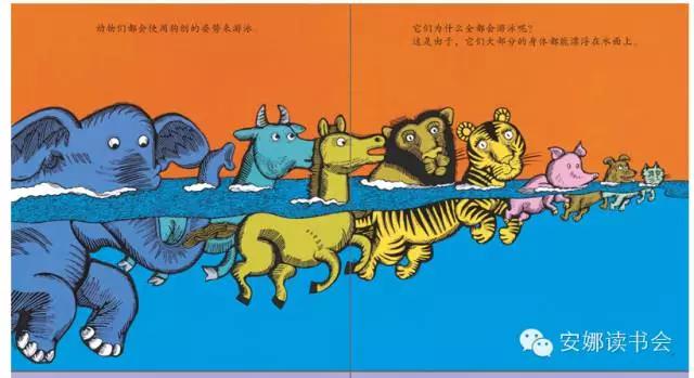 幼儿科普书籍,儿童科普绘本启蒙书