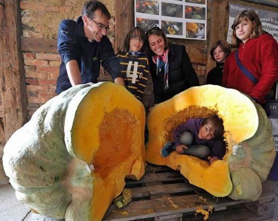 “坐月子”是产妇的“多事之秋”，健康、美貌如何兼得