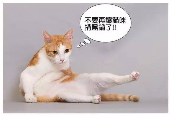 怎么才能感染弓形虫,弓形虫怎么感染到人身上