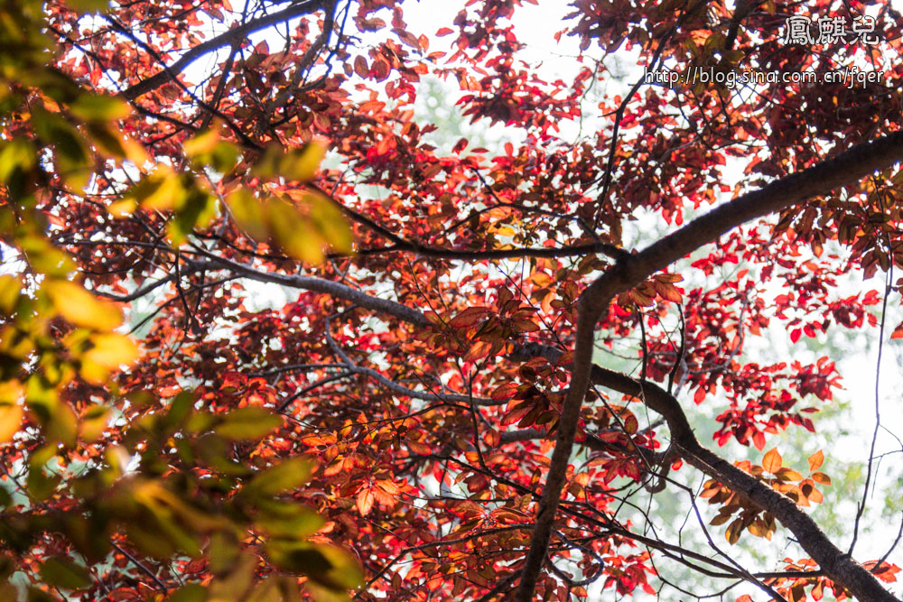 ​[凤麒儿]北京动物园——与动物的亲密接触