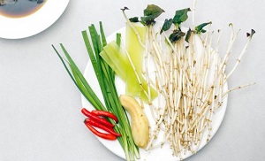 探寻长寿之乡的健康密码,鱼腥草长寿