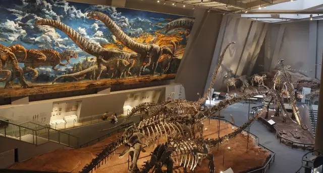 儿童节带娃去哪儿玩主城附近,六一儿童节带孩子来走走吧