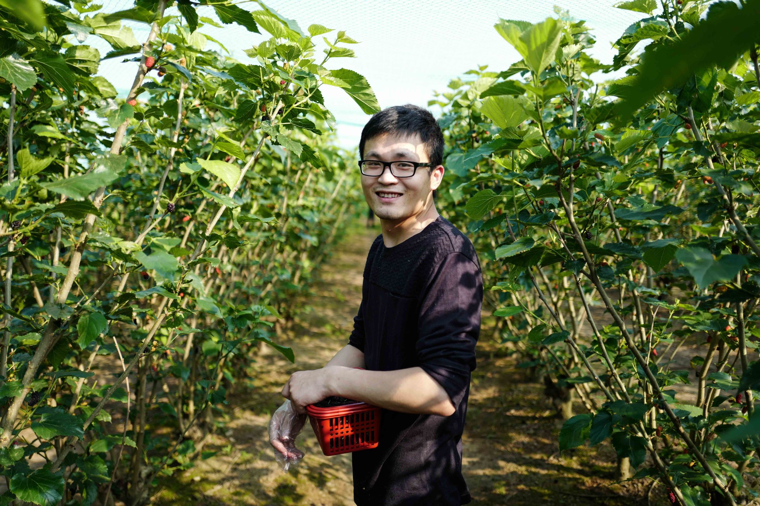 这才是德味-LeicaQ一个月使用报告