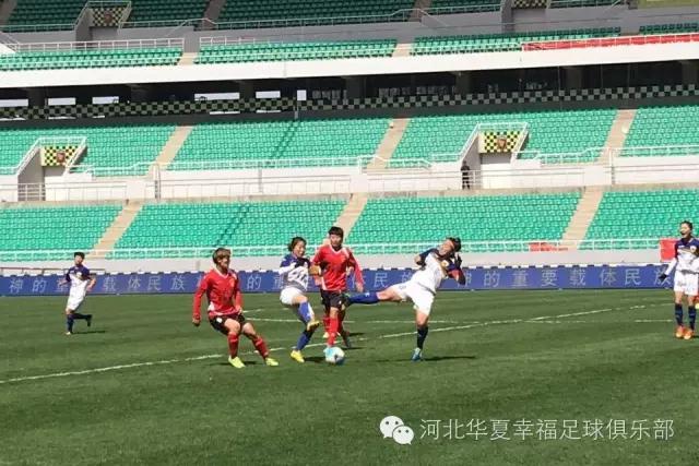 臧伟最新视频,臧伟石家庄