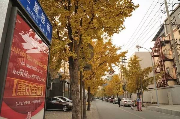 成都麓湖生态城美食街,成都有哪些大学城美食街