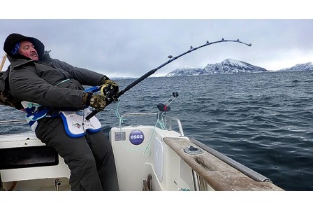 他钓起的鱼,以吃北极熊为生