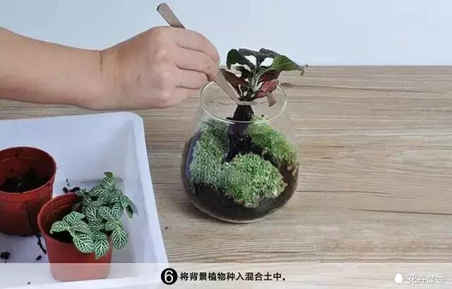 苔痕上阶绿草色入帘青妙在哪里,苔痕上阶绿草色入帘青全文