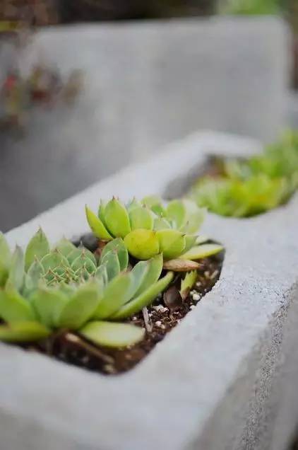 庭院绿植造型砖,水泥绿植造型设计