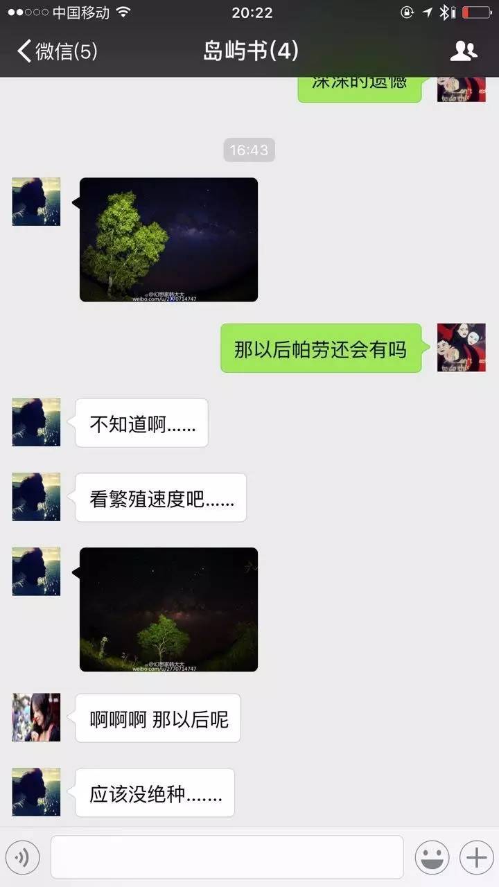 帕劳水母湖水母变少,帕劳水母湖的水母都去哪儿了