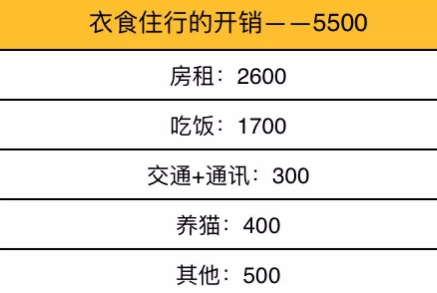 家有吉祥招财猫,家有招财猫还有聚宝盆