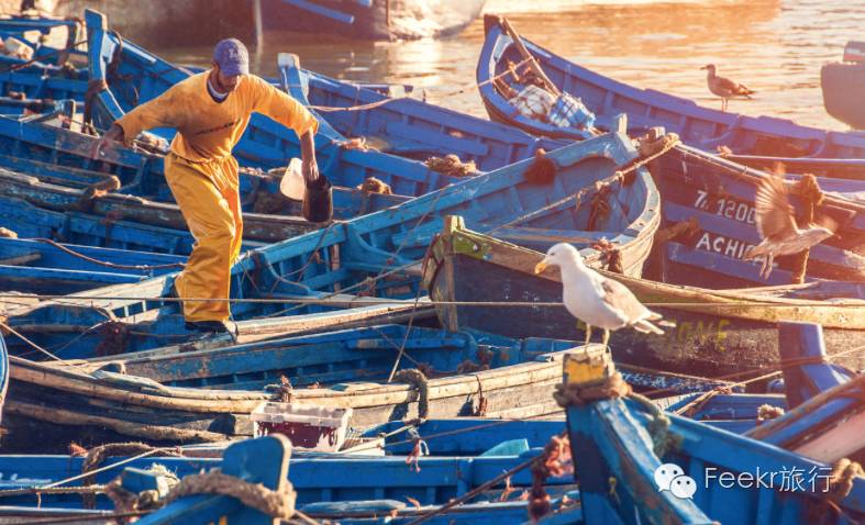 摩洛哥免签90天,摩洛哥免签一年可去几次