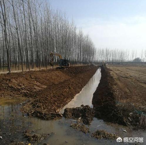 小龙虾养殖技术成本与利润,广西小龙虾养殖成本与利润