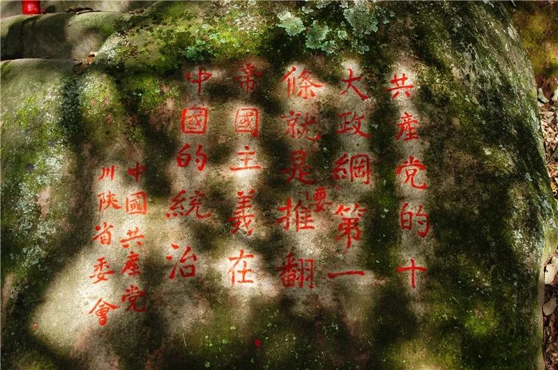 大开眼界和开阔视野,通江最新变化