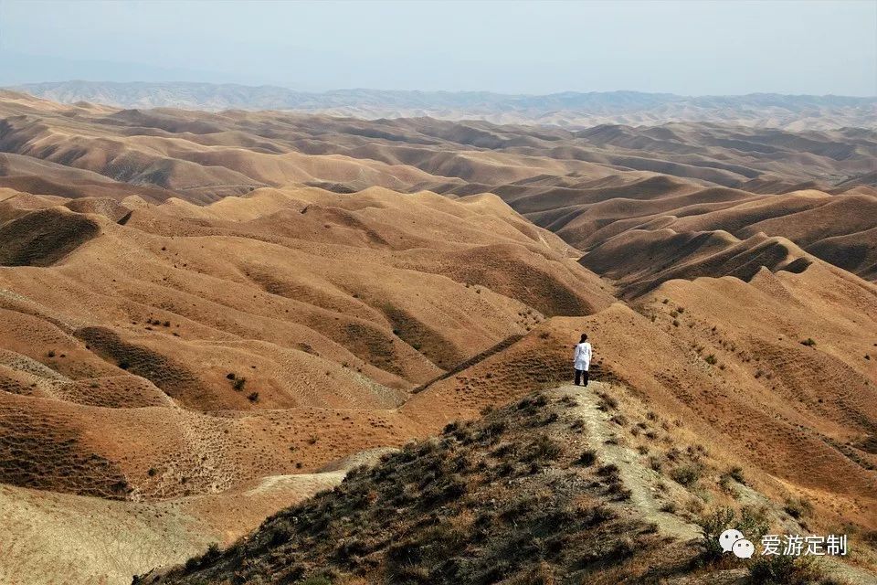 外国人入境中国签证最新政策,新加坡长期居住签证最新政策
