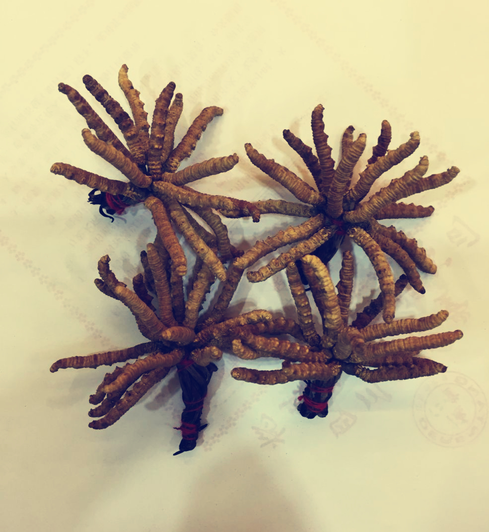 冬虫夏草最佳的使用方法,冬虫夏草最好的使用方法