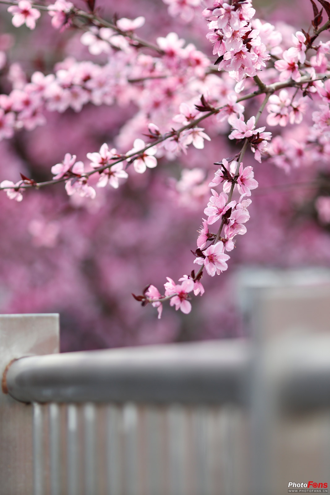 佳能eosm50markii微单开箱,记录生活的便捷相机