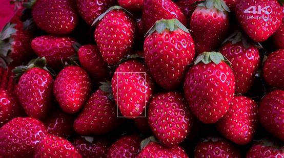 最强oled屏幕手机,索尼新款a8h4koled智能电视简评