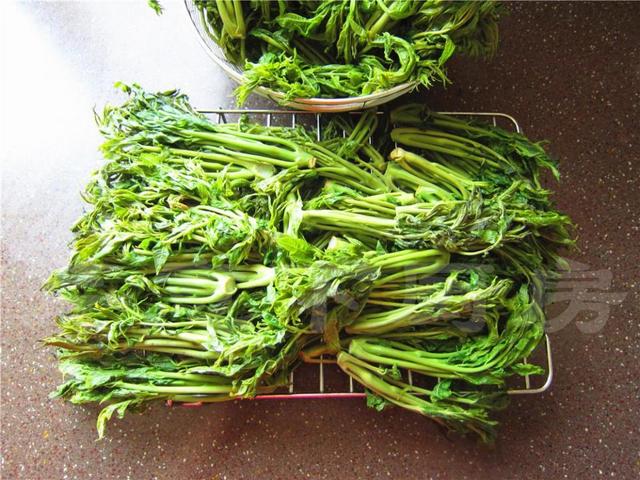 香椿芽腌制方法好吃还放不坏,香椿芽的腌制方法和时间