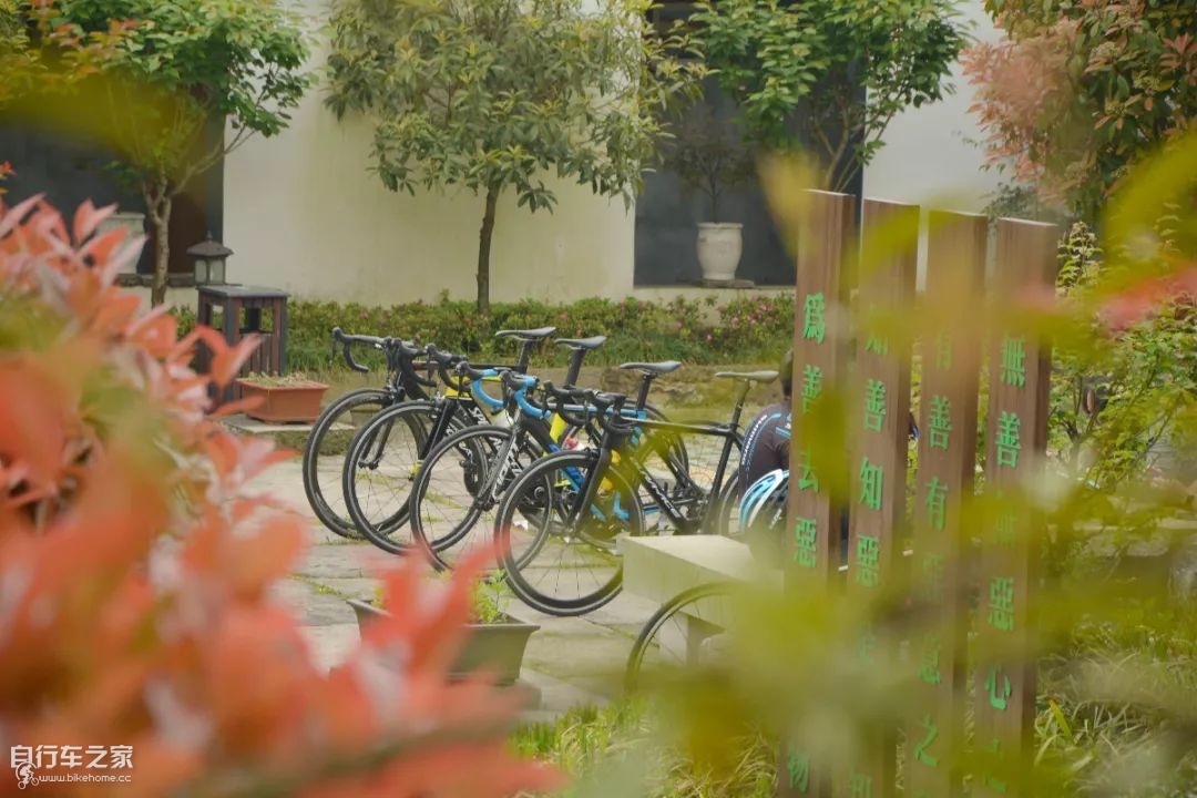 四明山骑行活动,四明山骑行活动图片