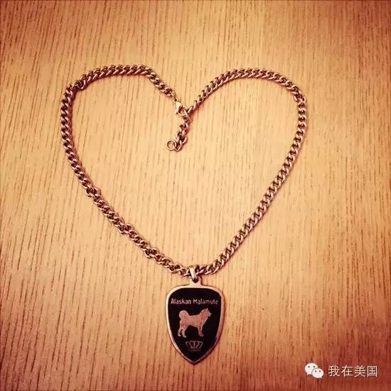 王思聪自曝女友为其堕胎又火了,但外媒只关心老公最宠的那个网红