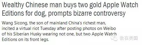 王思聪自曝女友为其堕胎又火了,但外媒只关心老公最宠的那个网红