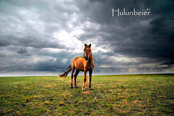 呼伦贝尔拍照攻略,呼伦贝尔美景拍照