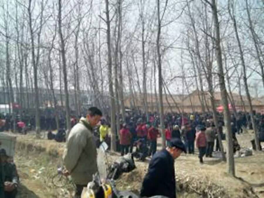 月白月明：满仓和他的女人