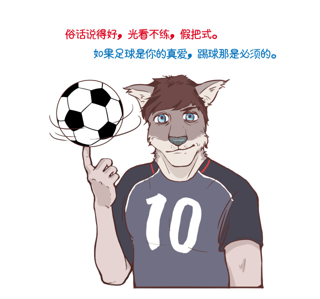 欧洲杯懂球帝怎么看,看欧洲杯的词