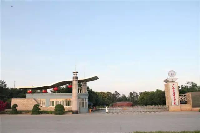 在南宁读大学，是怎样的一种体验……